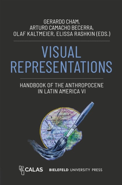 Visual Representations - Handbook of the Anthropocene in Latin America VI