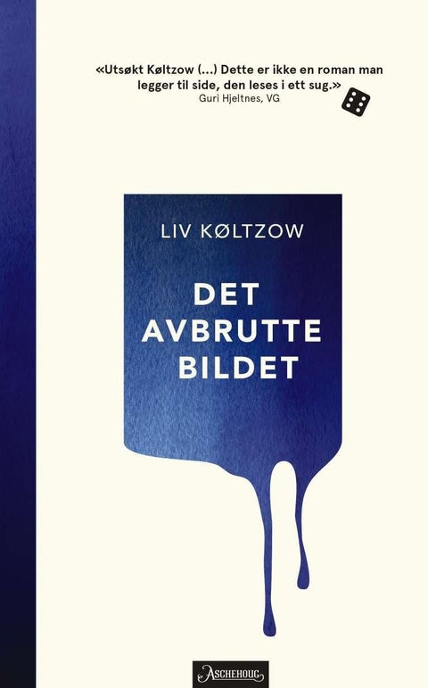 Det avbrutte bildet - roman