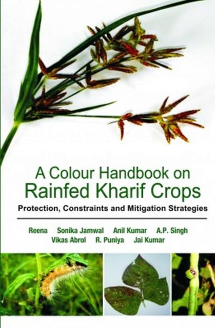 A Colour Handbook on Rainfed Rabi Crops - Protection, Constraints and Mitigation Strategies