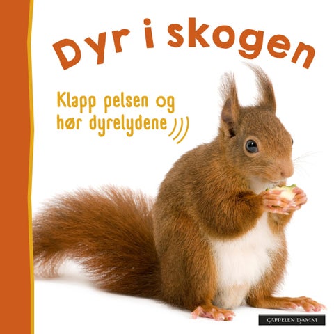 Dyr i skogen - klapp pelsen og hør dyrelydene