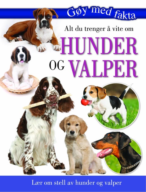 Alt du trenger å vite om hunder og valper - lær om stell av hunder og valper