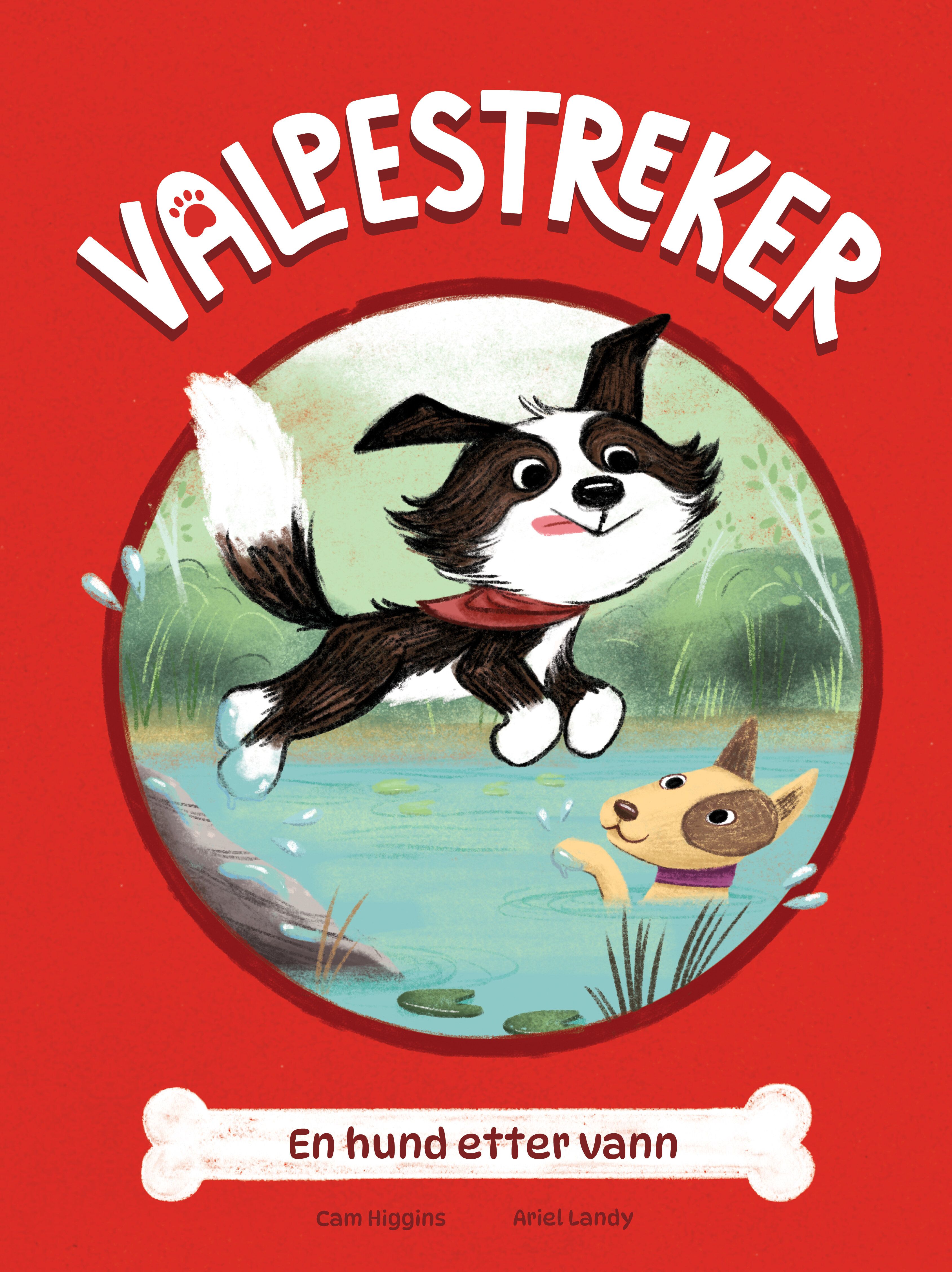 En hund etter vann