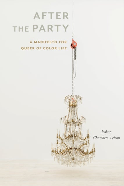 After the Party - A Manifesto for Queer of Color Life
