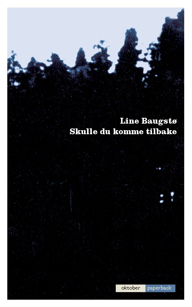 Skulle du komme tilbake - roman