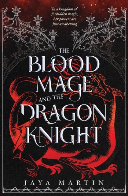 The Blood Mage and the Dragon Knight