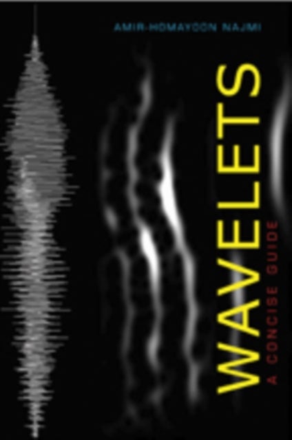 Wavelets - A Concise Guide