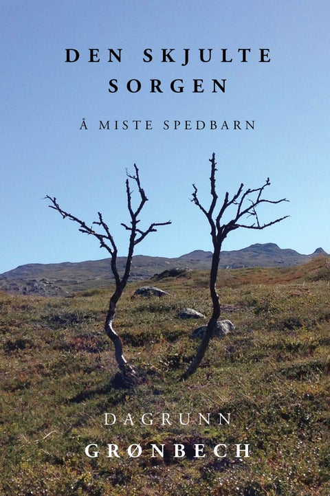 Den skjulte sorgen - å miste spedbarn