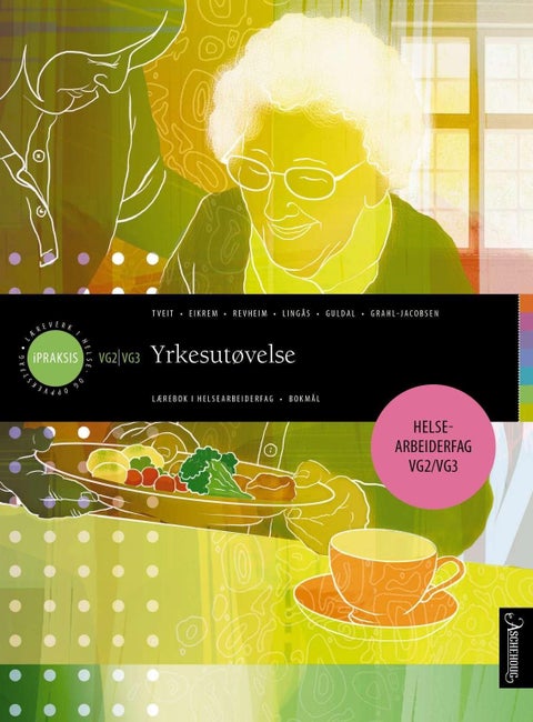 Yrkesutøvelse - lærebok i helsearbeiderfag