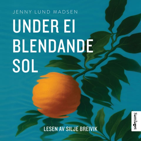 Under ei blendande sol