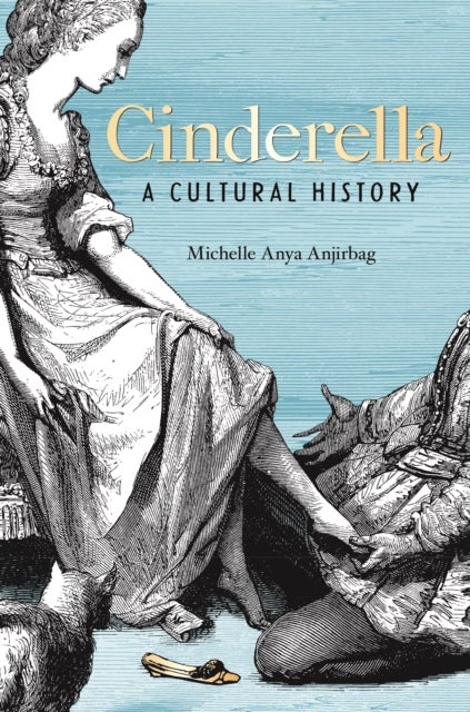 Cinderella - A Cultural History