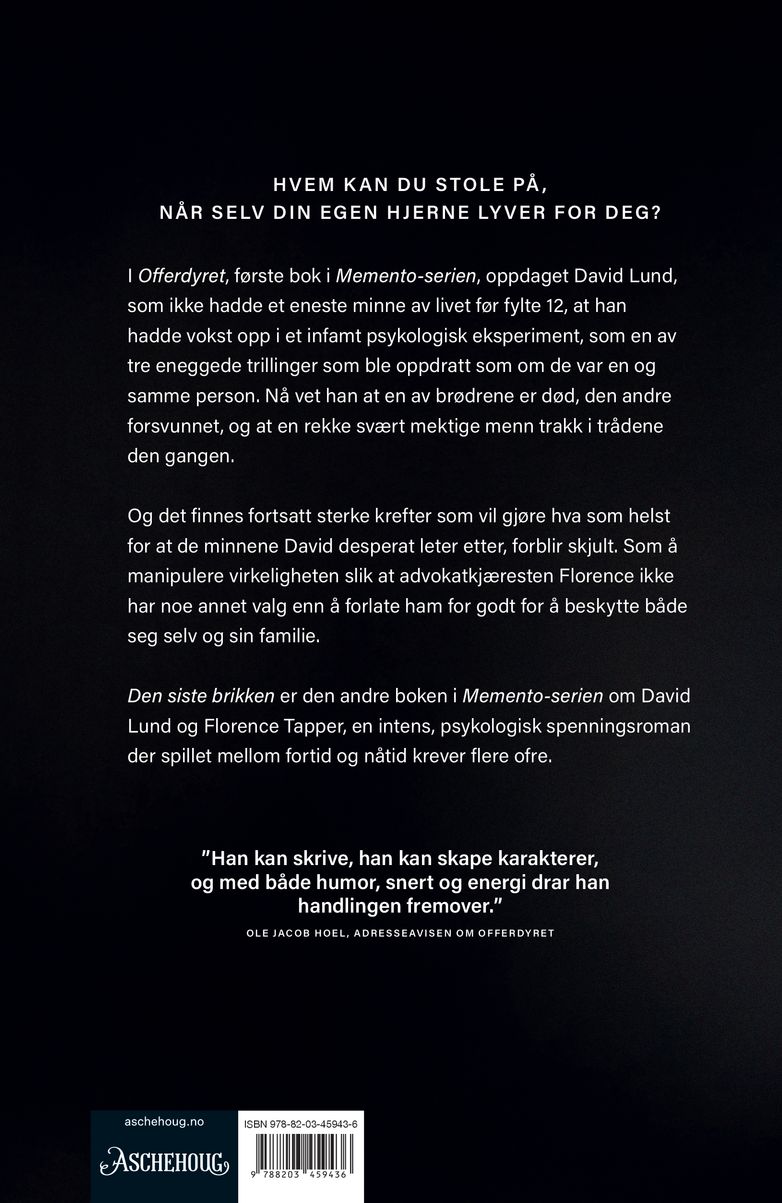 Den siste brikken