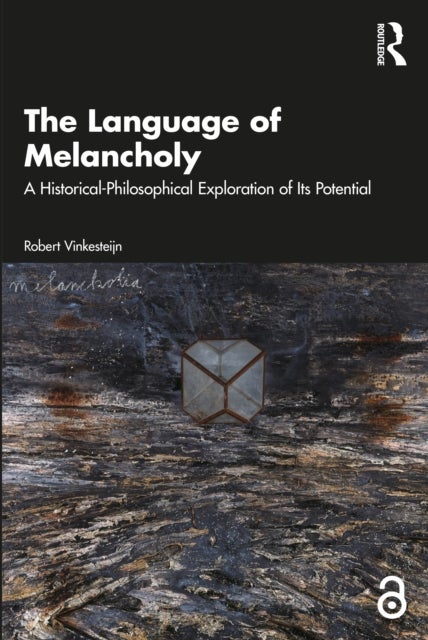 The Language of Melancholy - A Historical-Philosophical Exploration of Its Potential