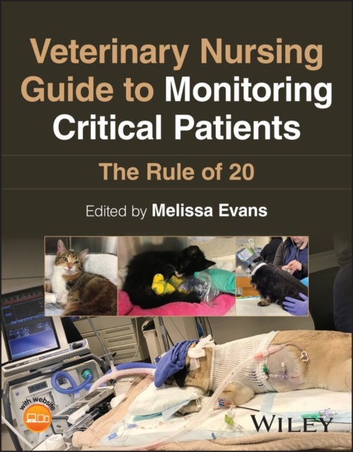 Veterinary Nursing Guide to Monitoring Critical Patients - The Rule of 20