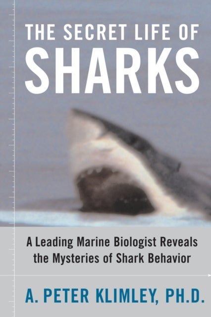 The Secret Life of Sharks - A Leading Marine Biologist Reveals the Mysteries of Shark Behavior