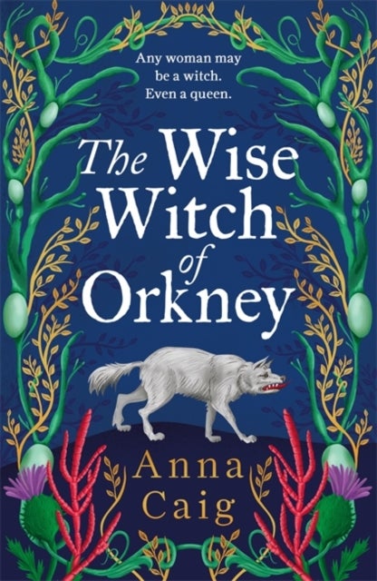 The Wise Witch of Orkney - A spell-binding debut novel about Scotland’s witch-hunting hysteria