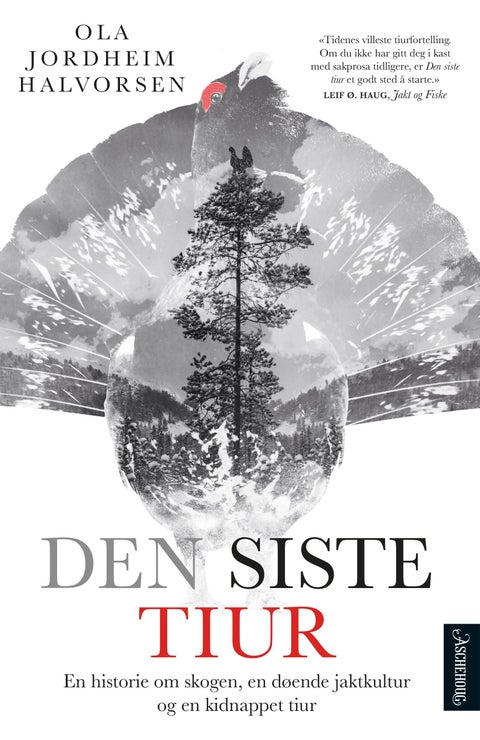 Den siste tiur - på roadtrip nedover Europa med en kidnappet tiur i bagasjen