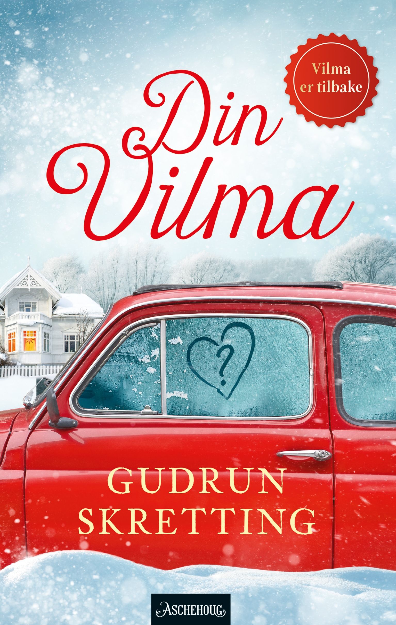 Din Vilma - roman