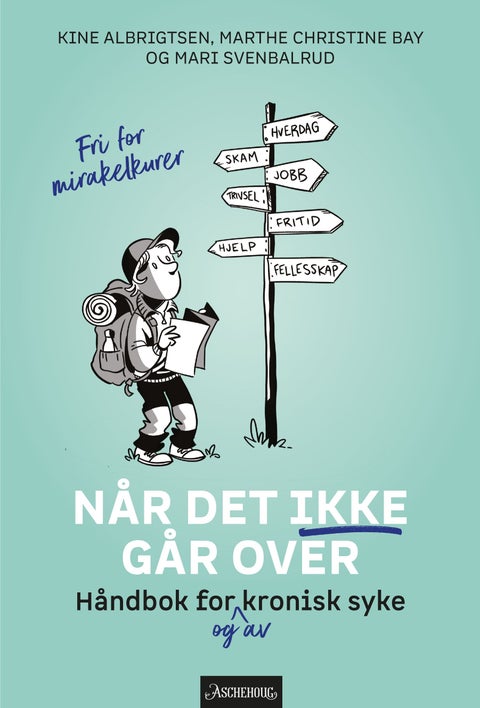 Når det ikke går over - håndbok for og av kronisk syke