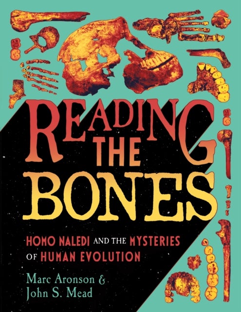 Reading the Bones - Homo Naledi and the Mysteries of Human Evolution