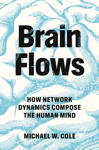 Brain Flows - How Network Dynamics Compose the Human Mind