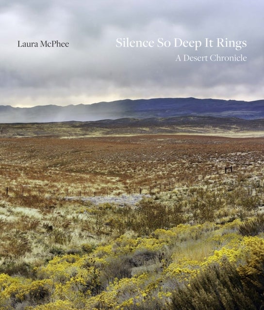 Silence So Deep It Rings - A Desert Chronicle