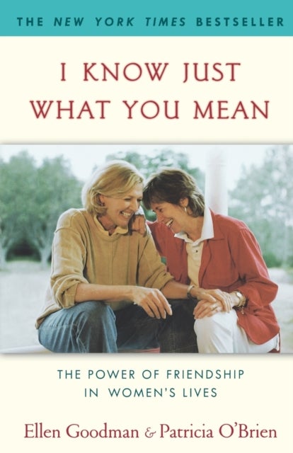 I Know Just What You Mean - The Power of Friendship in Women's Lives