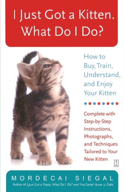 I Just Got a Kitten. What Do I Do? - How to Buy, Train, Understand, and Enjoy Your Kitten