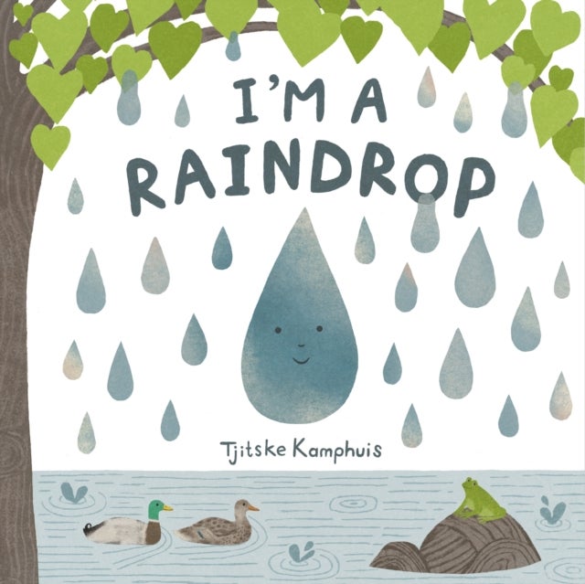 I'm a Raindrop
