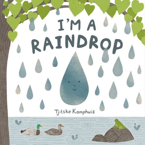 I'm a Raindrop
