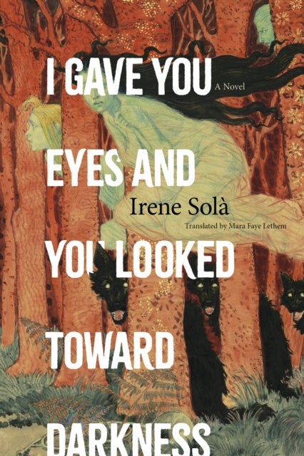 I Gave You Eyes and You Looked Toward Darkness - A Novel