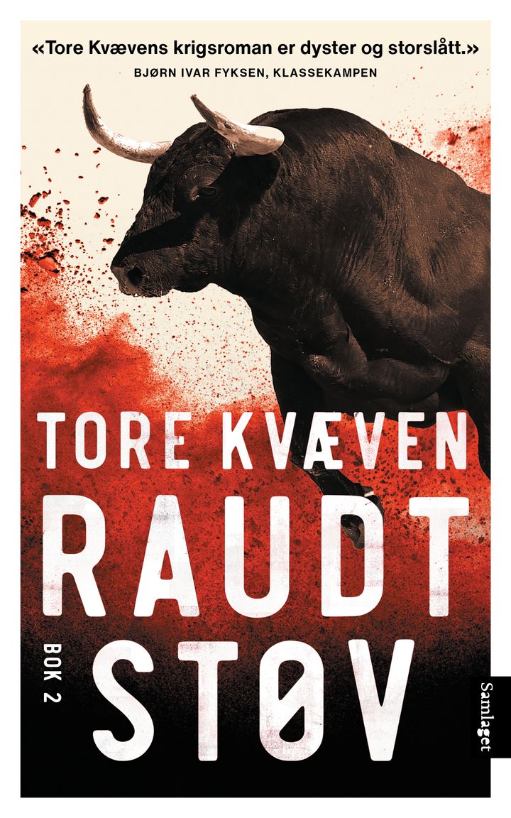 Raudt støv