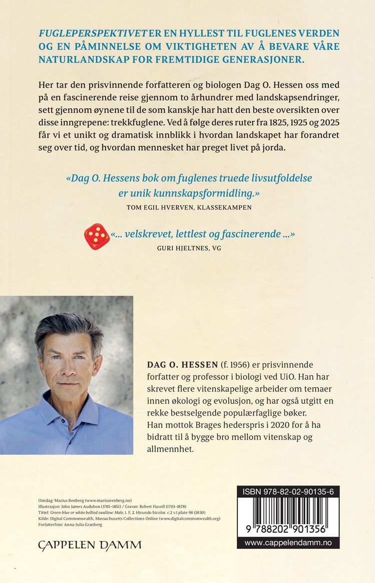 Fugleperspektivet