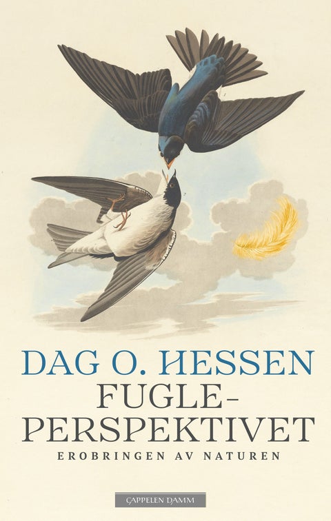 Fugleperspektivet - erobringen av naturen