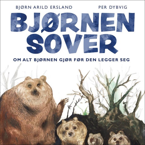 Bjørnen sover - om alt bjørnen gjør før den legger seg