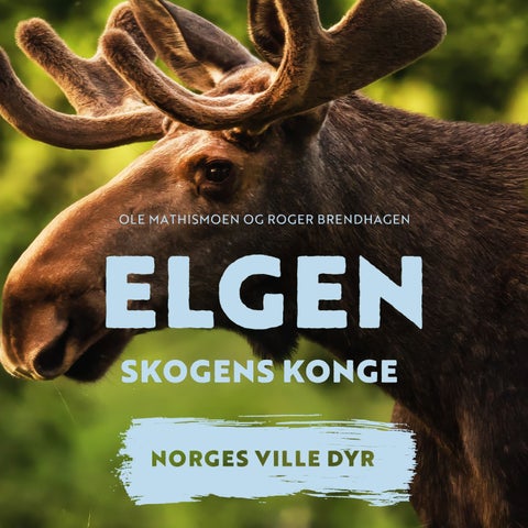 Elgen - skogens konge