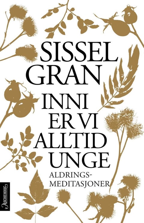 Inni er vi alltid unge - aldringsmeditasjoner