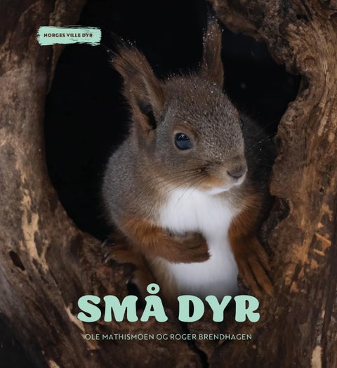 Små dyr