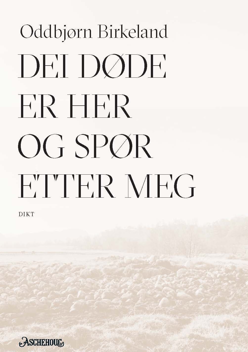 Dei døde er her og spør etter meg - dikt