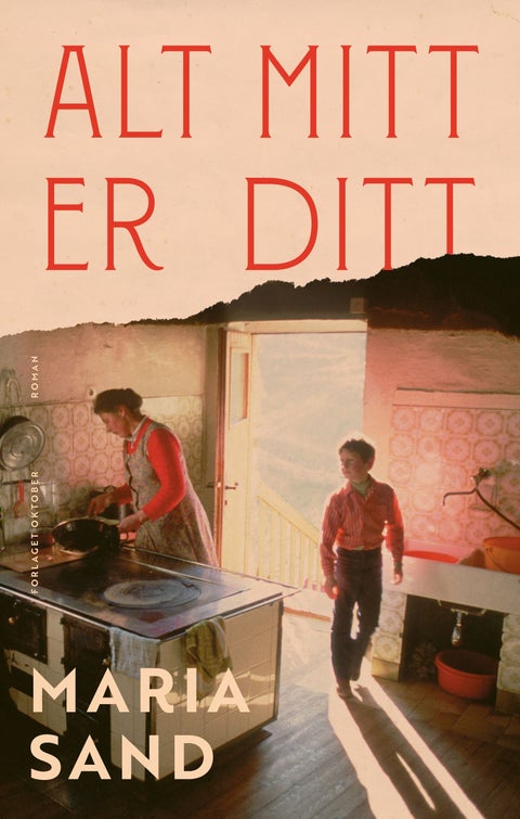 Alt mitt er ditt - roman