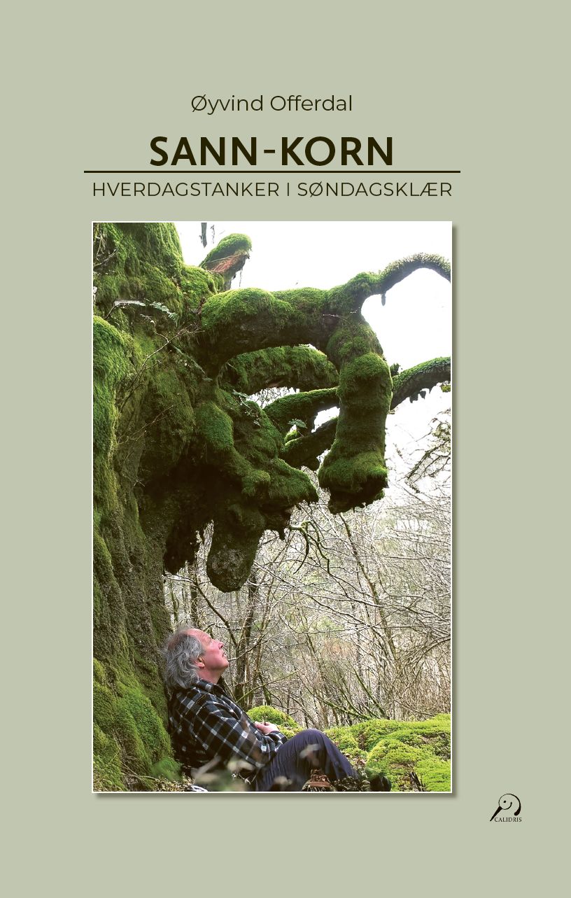Sann-korn - hverdagstanker i søndagsklær