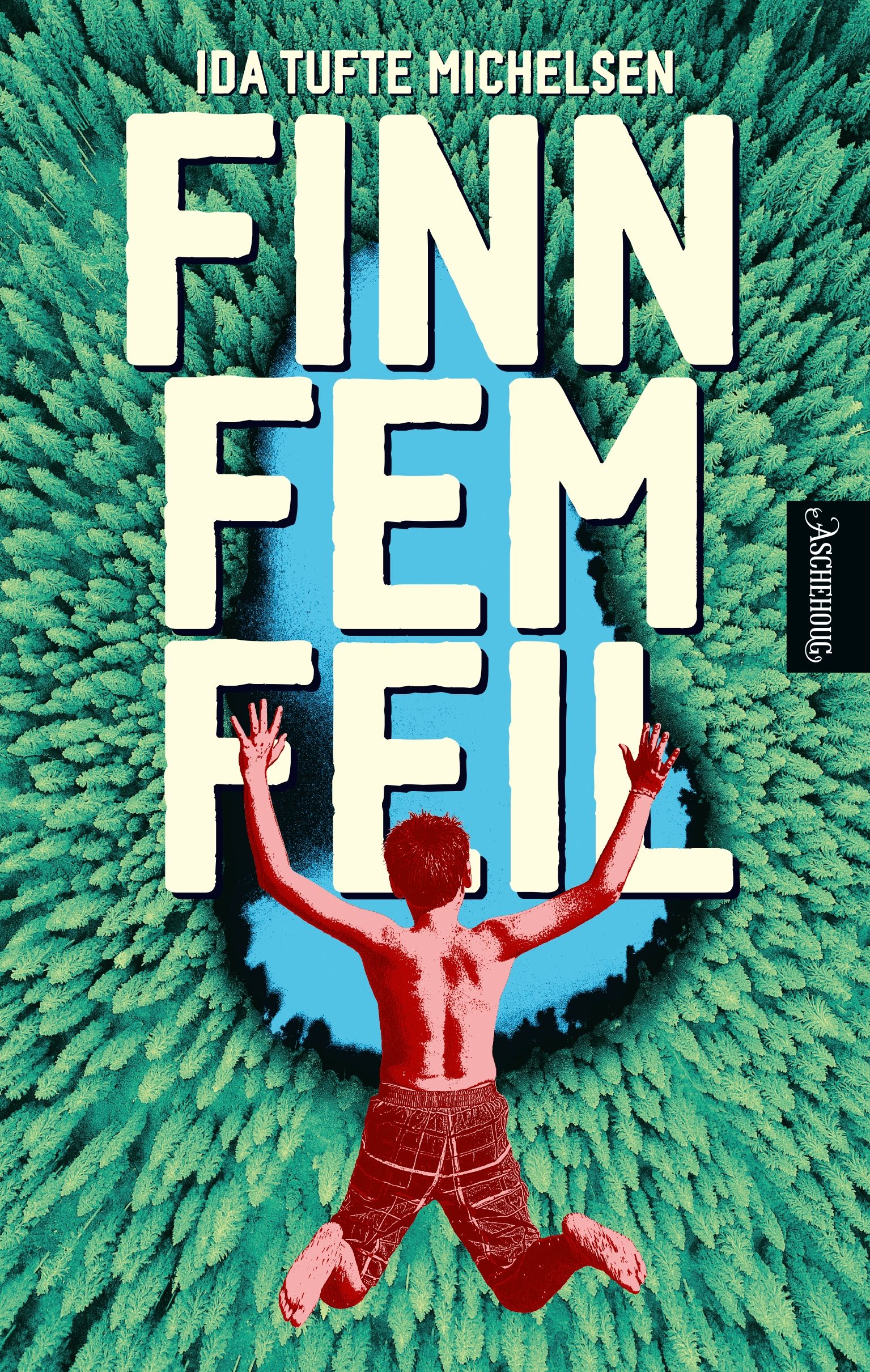 Finn fem feil