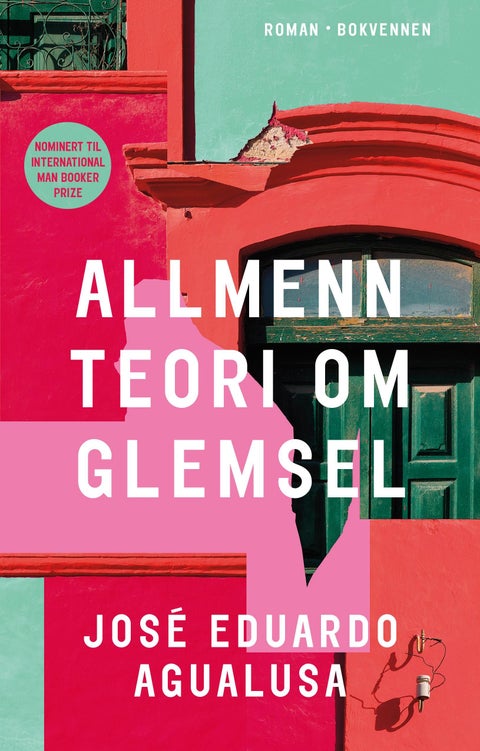 Allmenn teori om glemsel - roman