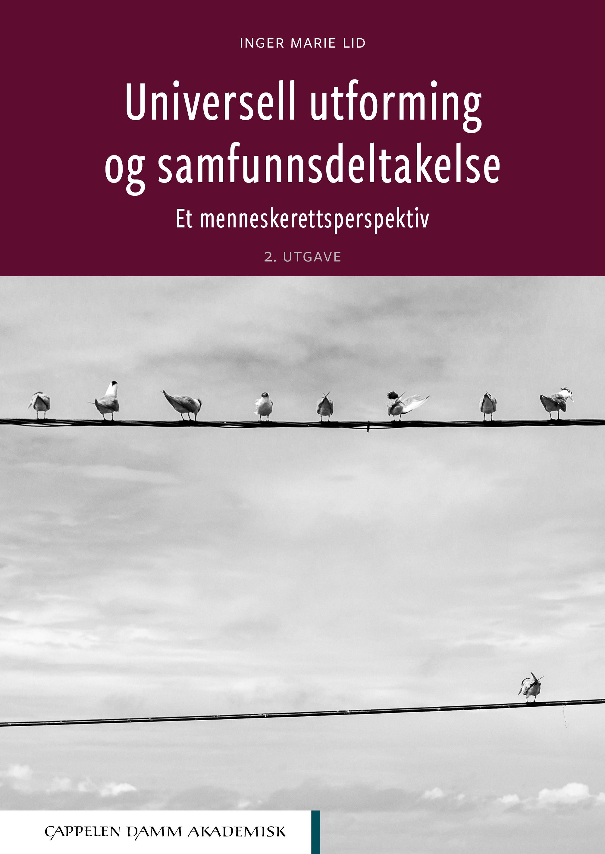 Universell utforming og samfunnsdeltakelse - et menneskerettsperspektiv