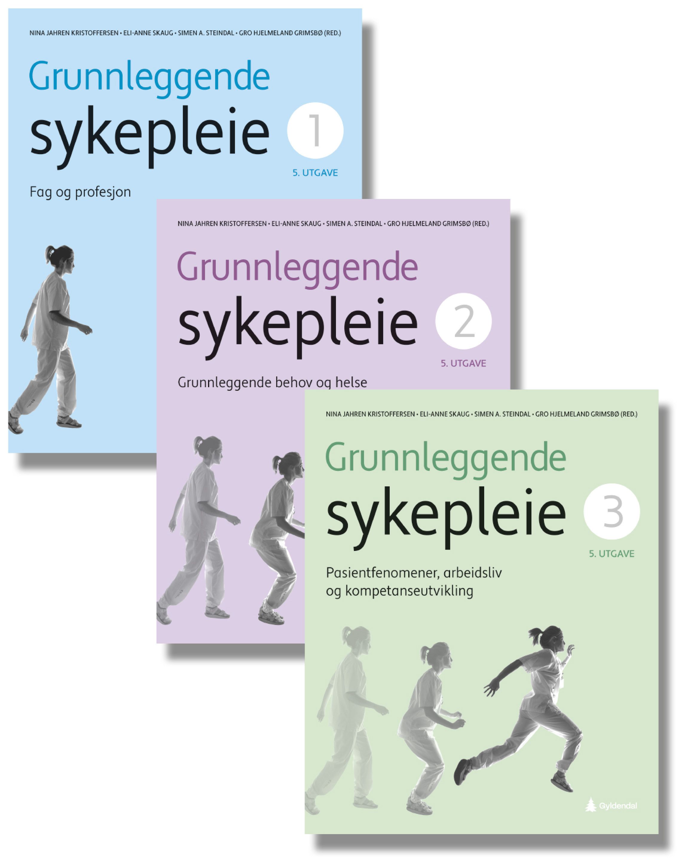 Grunnleggende sykepleie 1-3