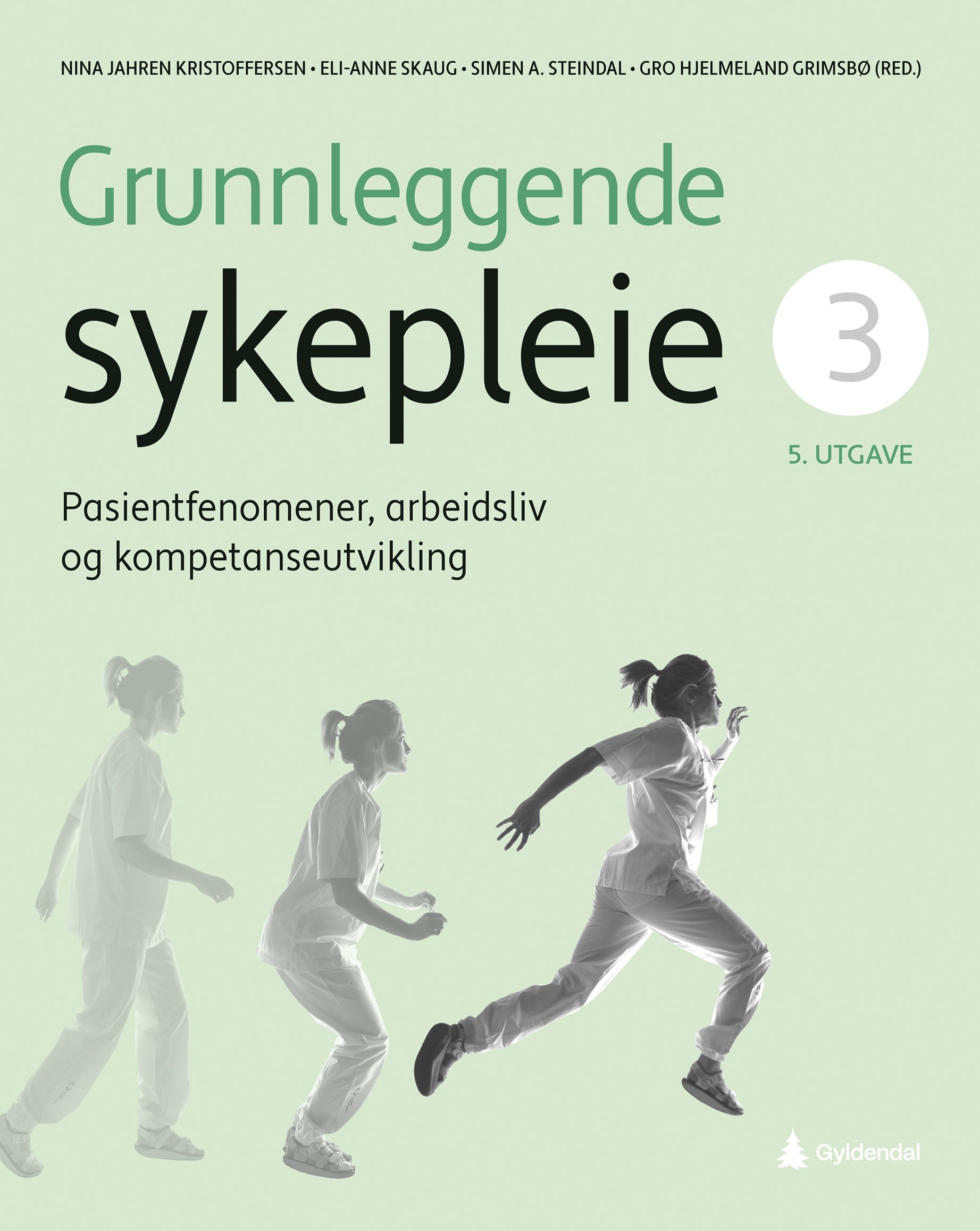 Grunnleggende sykepleie - 3 : Pasientfenomener, arbeidsliv og kompetanseutvikling