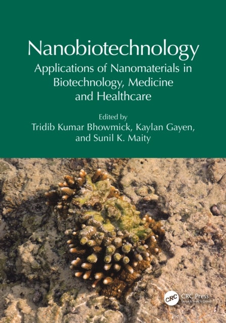 Nanobiotechnology - Applications of Nanomaterials in Biotechnology, Medicine and Healthcare