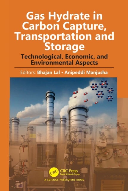 Gas Hydrate in Carbon Capture, Transportation and Storage - Technological, Economic, and Environmental Aspects