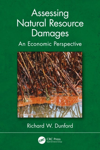Assessing Natural Resource Damages - An Economic Perspective