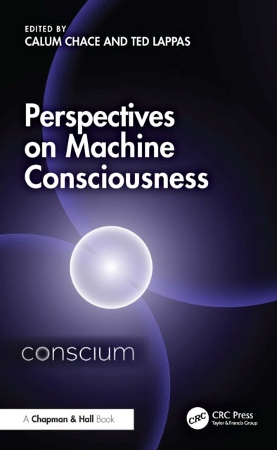 Perspectives on Machine Consciousness