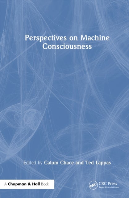 Perspectives on Machine Consciousness
